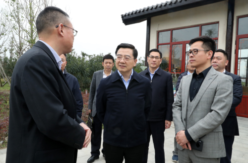 陈伟俊赴温州生态园督导勇争先强执行开新局工作