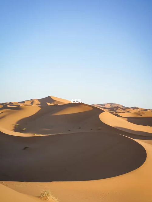 撒哈拉沙漠大片_撒哈拉沙漠_沙漠_出行_传统景点攻略