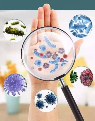 如何区分细菌感染和病毒感染