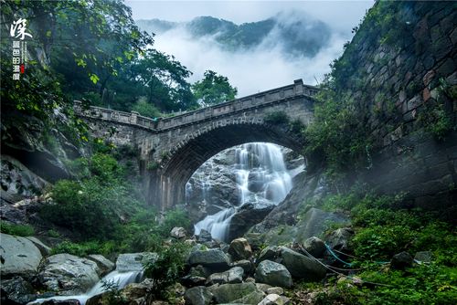 且依石栏观飞瀑;再渡云桥访爵松