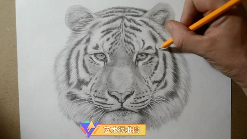 铅笔画虎素描全图
