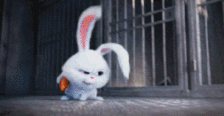 爱宠大机密gif