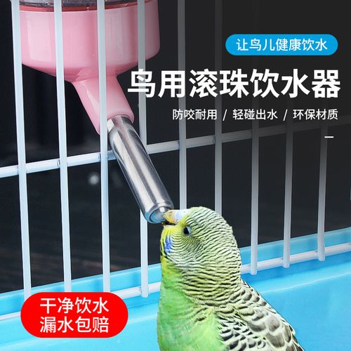鹦鹉自动饮水器喂水器玄凤虎皮绣眼八哥鸟用喝水的水壶鸟笼用品