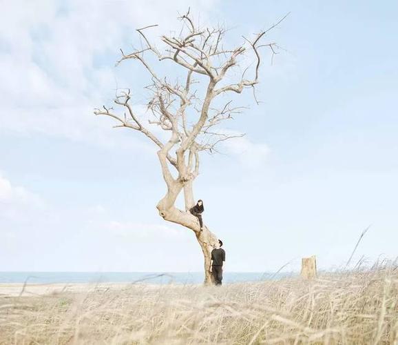 学极简系摄影师这么拍,你的照片也能美成 ins 风!