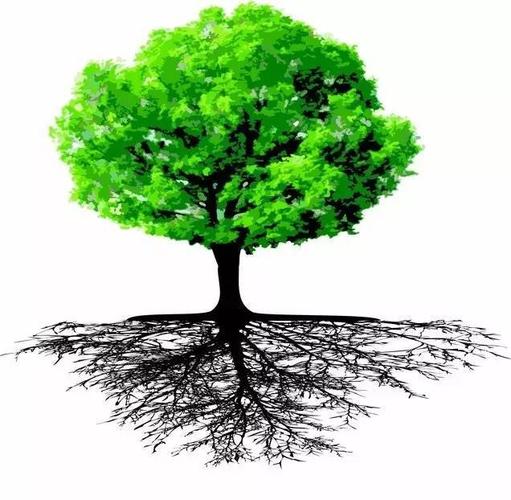 真正的大树,扎根在一方土地上,基本上就是一辈子.