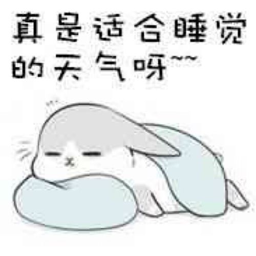 兔子表情包_睡觉