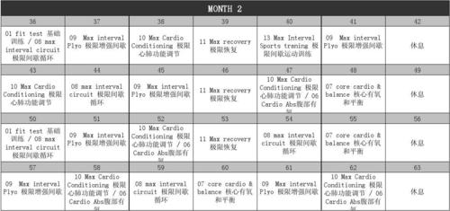 insanity 63天健身计划 中文课程表
