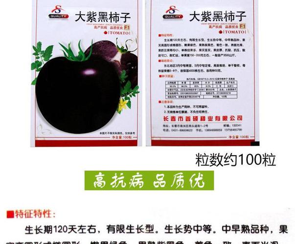 紫玉番茄种子 鑫特大紫黑柿子番茄种子西红柿蔬菜种子庭院阳台种菜易