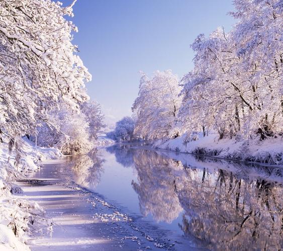 白雪皑皑[汉语词语]