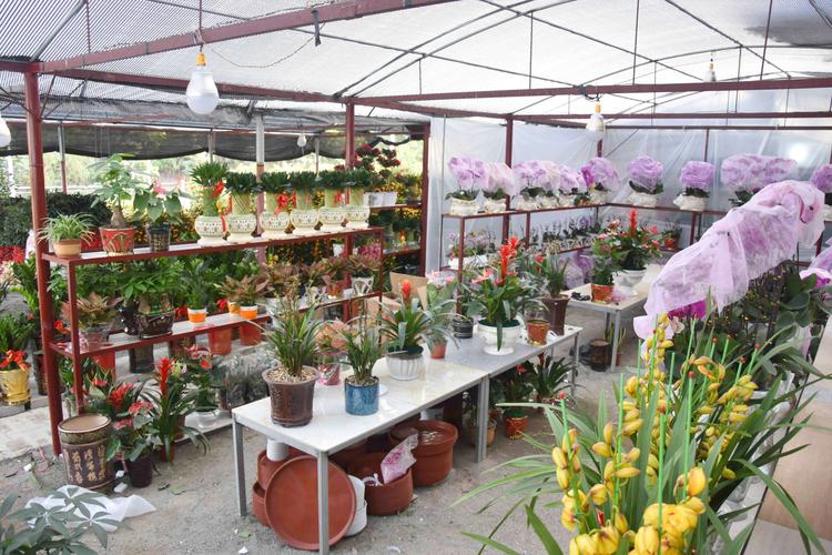 龙潭佳顺园林花木场