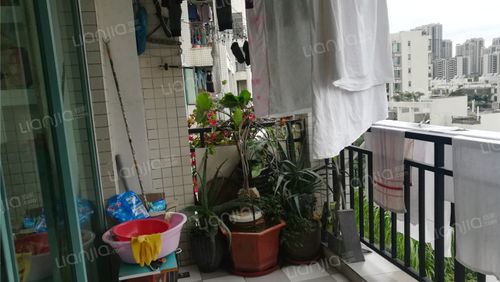 棕榈假日 3室2厅 245万