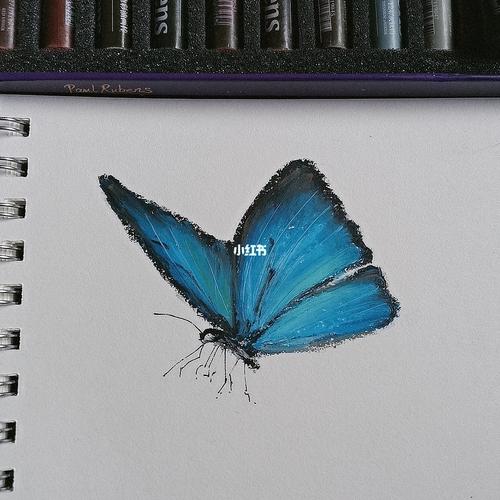 油画棒|花蝴蝶|付步骤