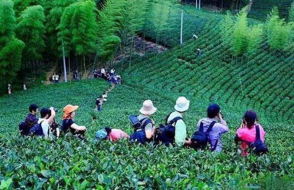 乡村休闲旅游即将成为一种常态,你还不知道!