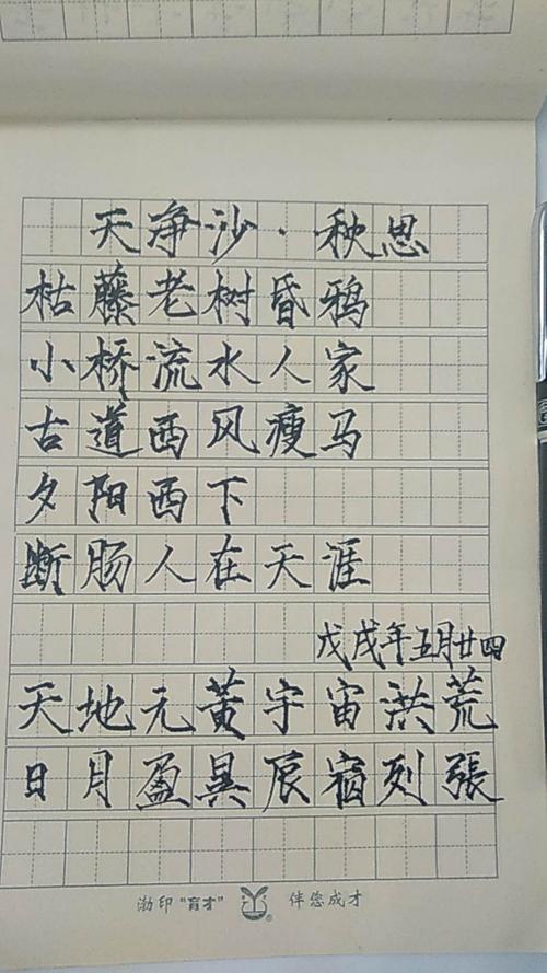 古诗抄写诵读——天净沙秋思