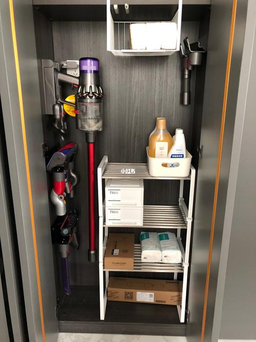 戴森吸尘器收纳柜_戴森吸尘器_收纳柜_收纳_收纳架_吸尘器_戴森怎么样