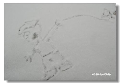 新年第一天,在楼顶围墙上雪地涂鸦