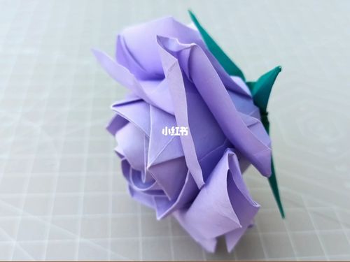 折纸视频教程:佐藤玫瑰花萼折纸_折纸_教程_红豆怎么样_折纸教程_兴趣