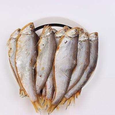 新鲜野生黄鲫鱼黄鲫子鱼黄尖子毛扣鱼油扣马口鱼海鱼烤子鱼海捕鱼