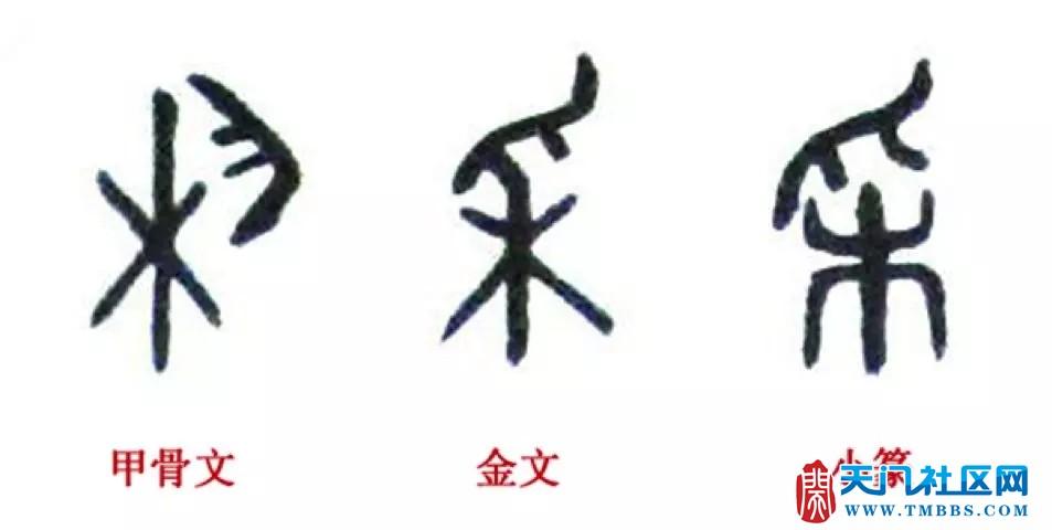 看一下这个字从甲骨文到篆书的变化,您就明白了.