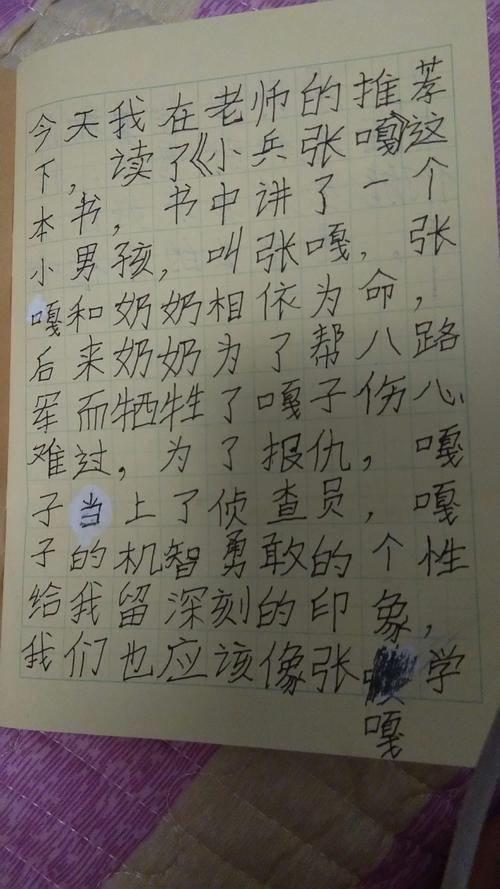 刘宇轩《小兵张嘎》读后感