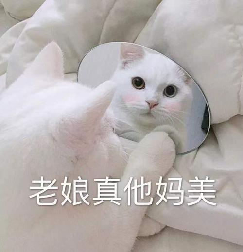 老娘真他妈美真他妈老娘表情
