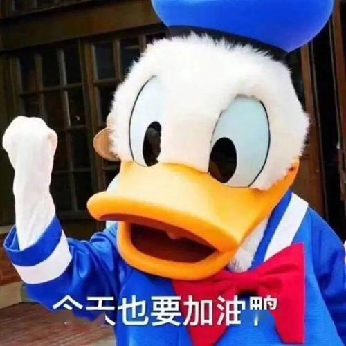 小兰花每天都要元气满满加油鸭助力复工复学