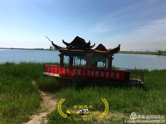 嘉峪关《新城草湖国家湿地公园》环境堪忧!