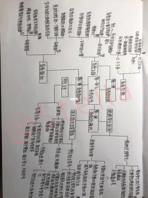 七上政治第一单元思维导图