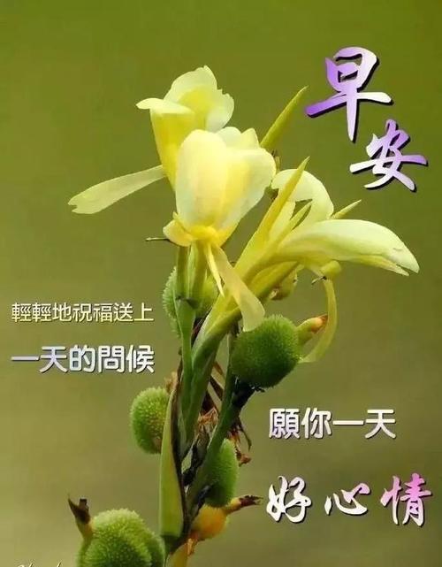 非常好看的早上好暖心问候语表情图片,保持好心态的正