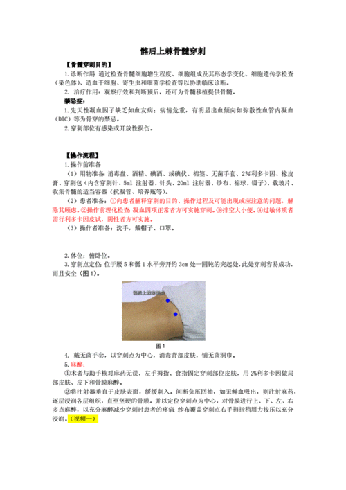 内科学 内科学,血液系统疾病总论 髂后上棘骨髓穿刺.docx 2页