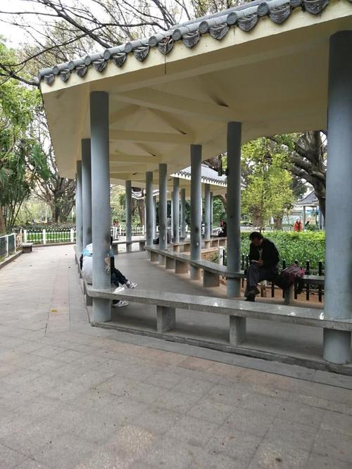 深圳龙华公园即将进行改造,作为公园常客的三和大神该何去何从?