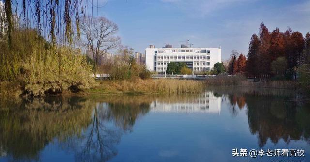 安徽财经大学欲布局合肥的背后:不屈与辛酸