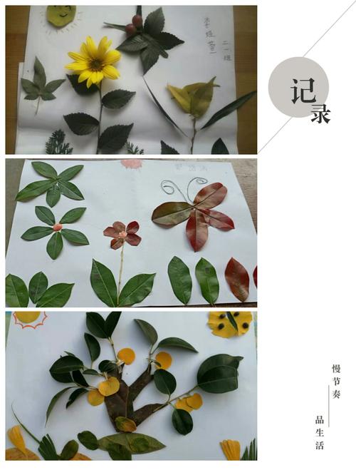 小手拉大手 与秋叶共舞 ——单县南城第二小学二年级级部树叶贴画活动