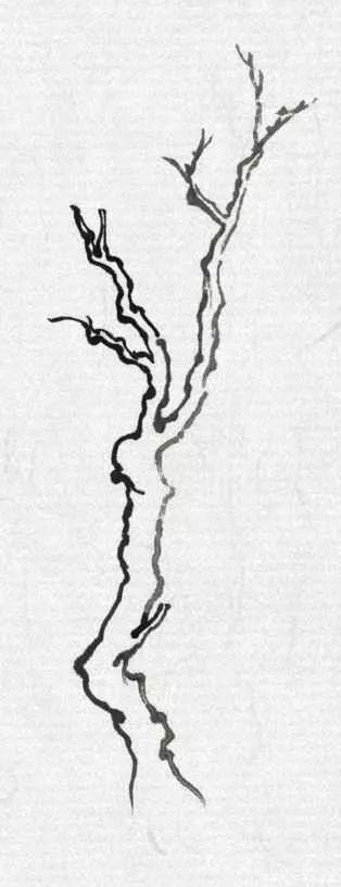 山水画教程:树的不同形态画法,简单易学,快收藏!