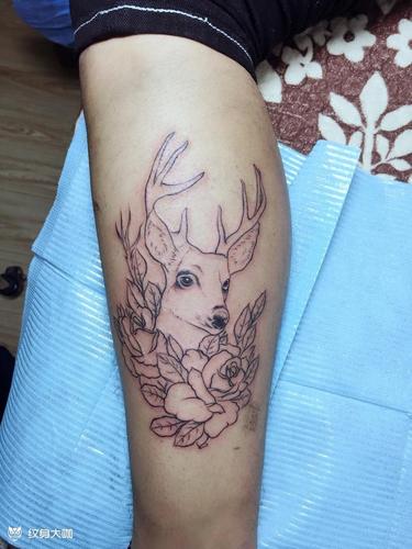 鹿头_纹身图案手稿图片_影子的纹身作品集