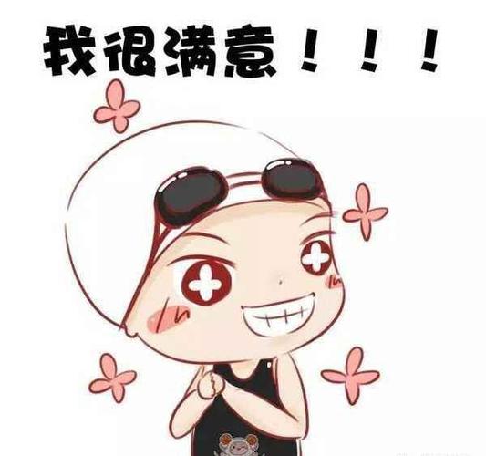 最后用表情包来表达下心情:我对这次点*送礼!非常满意!