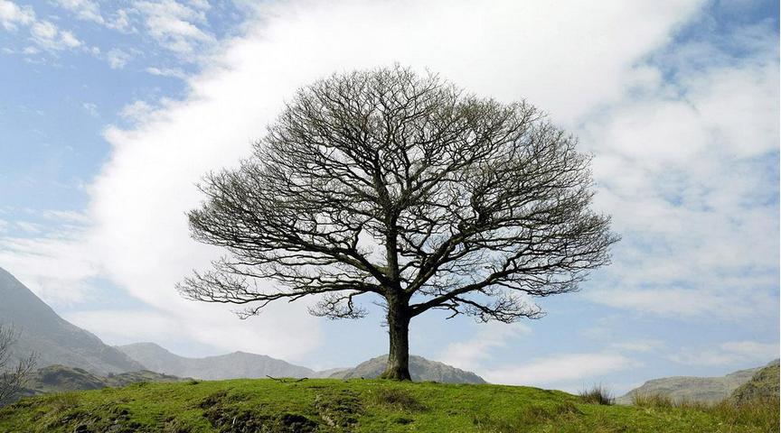 去多伦多大学就读生态学专业让人类与环境和谐共存