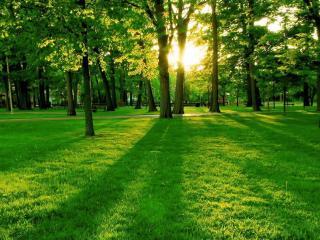 美丽的秋日风景图片壁纸