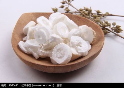 中药大通草