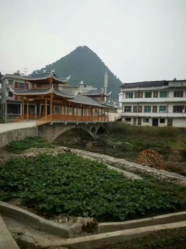 凤冈县花坪镇鲟龙鱼庄欢迎您!联系电话:18985200008