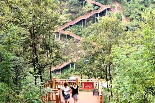 小溪塔森林公园再升级 市民秋游更惬意