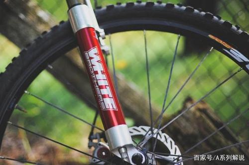 《自行车局部》旱地忽律-协助拍摄