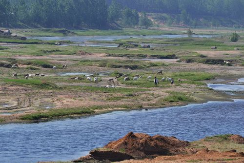  p>沭河古道湿地公园位于 a target="_blank" href="/item/临沂">临沂