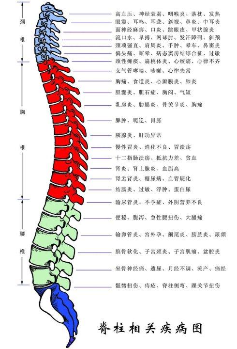 [转载]回答咨询(16):脊柱疾病引起的相关症状!