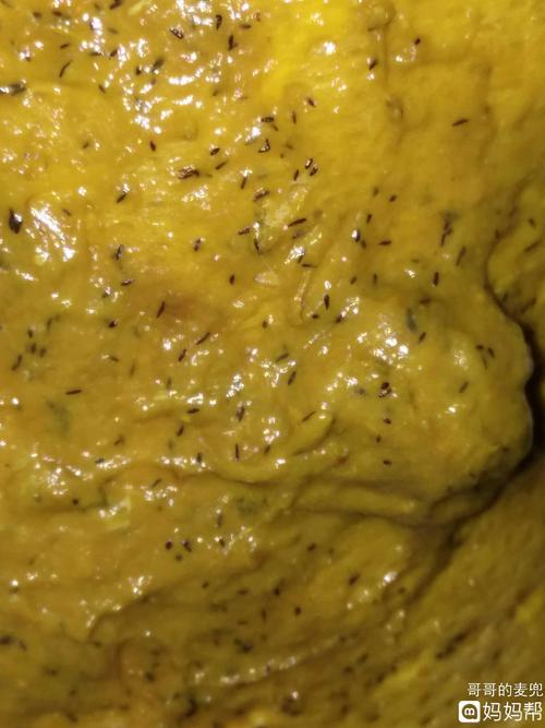 求解,大便里有很多头发渣一样的黑点,有图慎入哦