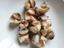 3. 去掉海螺的内脏