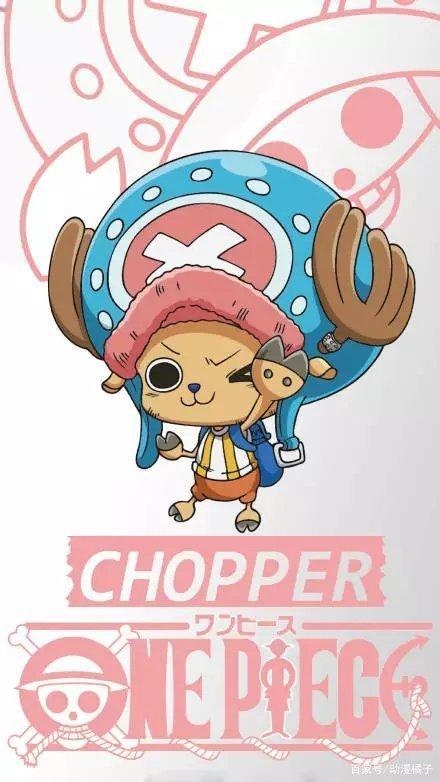 q版草帽海贼团,太可爱了