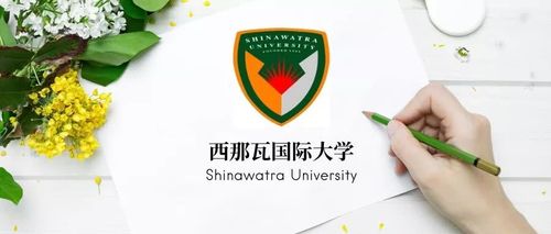 院校推荐:泰国西那瓦国际大学