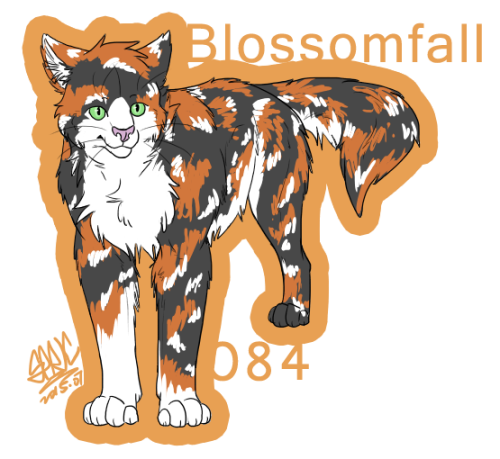 猫武士 梅花落图片