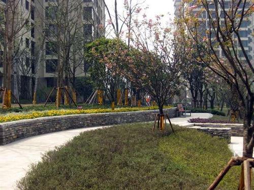 弹子石 龙湖郦江 住宅 赠送面积大,满五唯一,轻轨房